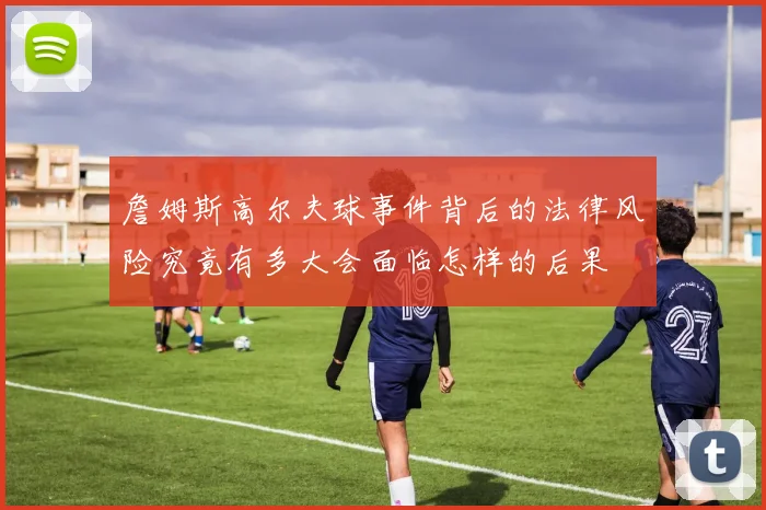 詹姆斯高尔夫球事件背后的法律风险究竟有多大会面临怎样的后果