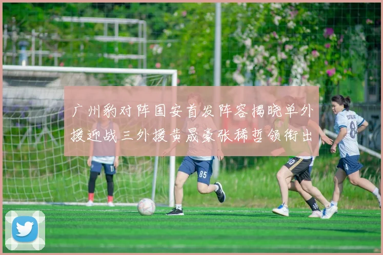 广州豹对阵国安首发阵容揭晓单外援迎战三外援黄晟豪张稀哲领衔出战